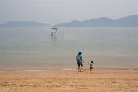 海は広いな やすうら夢工房ブログ