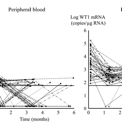 The Depth Of Remission In Wilms Tumor 1 Wt1 Expression Levels