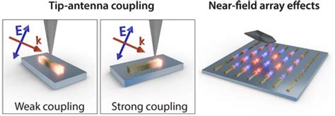 Tip Coupling And Array Effects Of Gold Nanoantennas In Near Field