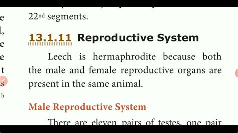 10 Std Science Unit 13 Reproductive System And Adaptation Of Leech