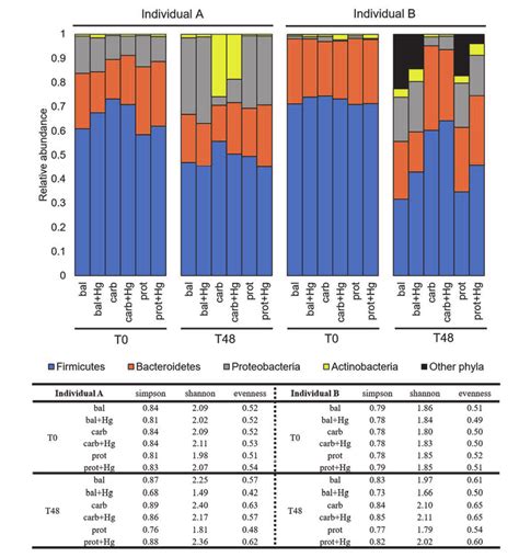 Top Barplot Showing Relative Abundance Phylum Level From The