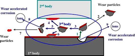 Schematic Diagram Of A Tribocorrosion System Capturing The Material