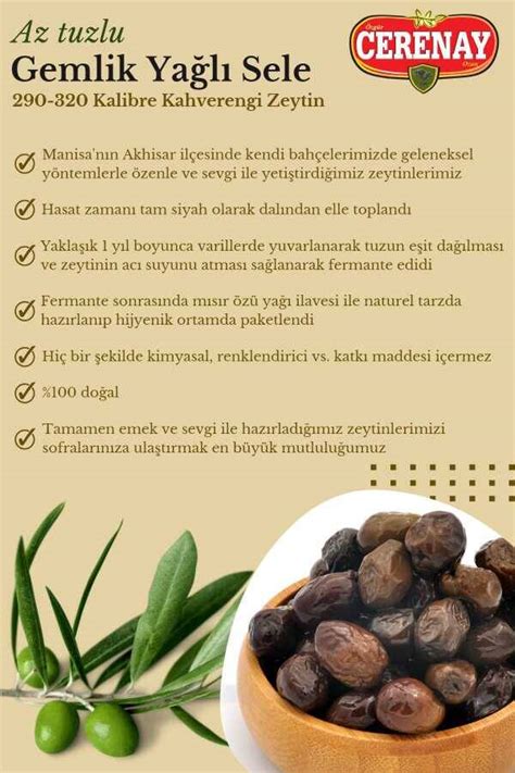 Az Tuzlu Gemlik Yağlı Sele Sofralık Siyah Kahverengi Zeytin 291 320