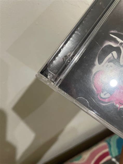 Green Day Awesome As Fuck DVD On Carousell