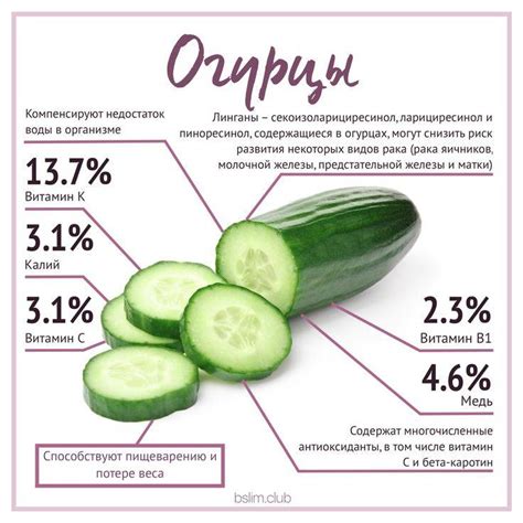 Какие витамины в огурцах и в чем польза овоща