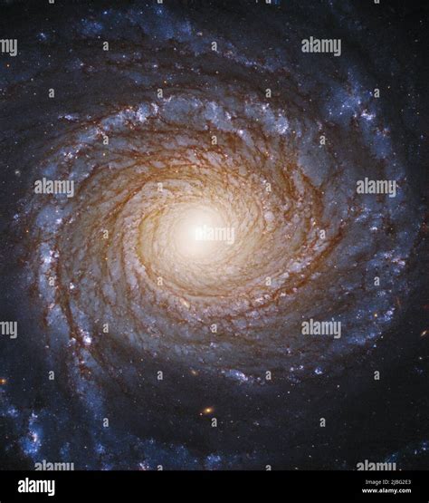 Spiral Galaxy NGC 3147 Constellation Of Draco Elements Of This Picture