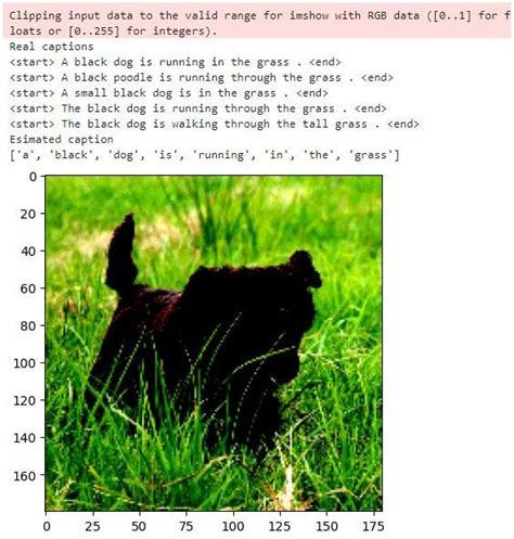 Image Caption Generator Coding Ninjas