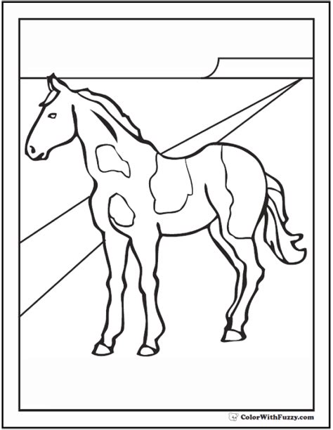 Pinto Horse Coloring Coloring Pages