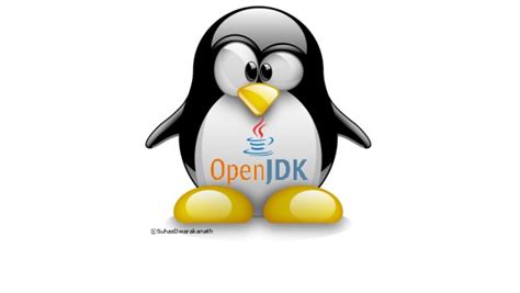 C Mo Instalar Java En Linux Kde Blog