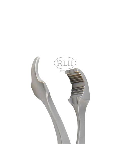 Self Centering Bone Holding Forceps At Best Price In Chennai