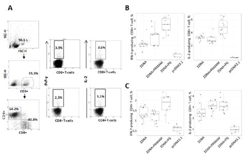 Intracellular Cytokine Staining With Flow Cytometry Analysis Of Inf