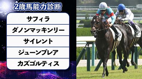 【2歳馬能力診断】松山騎手騎乗のサフィラが初勝利！丹下日出夫 競馬動画 Netkeiba