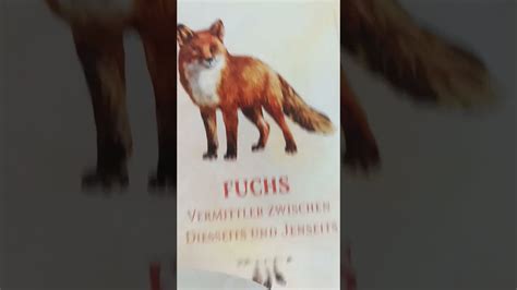 KRAFTTIERORAKEL Was ist jetzt wichtig für Euch Der FUCHS sagt