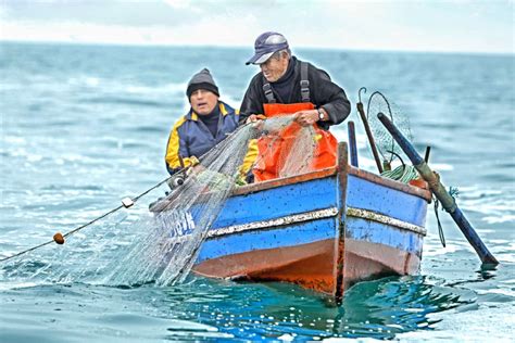 Ministerio De La Producci N Sector Pesca Aportar A La Producci N