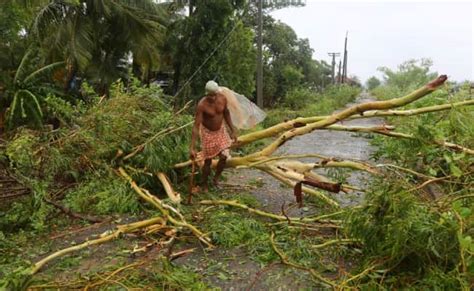 Cyclone Fani Uprooted Over 1 Million Trees In Bhubaneswar