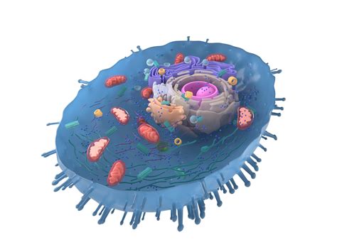 Developing Cell-Free Ribosomes in a Test Tube