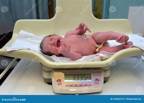 Pregnancy Newborn Baby Stock Photo Image Of Birth 41826314