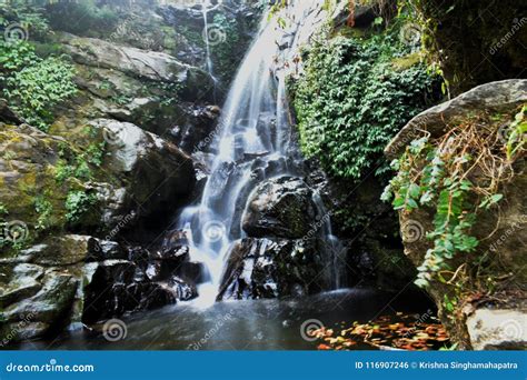 Rock garden - Darjeeling stock photo. Image of waterfall - 116907246