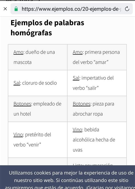 10 Ejemplos De Palabras Homonimas Con Su Significado Opciones De Ejemplo