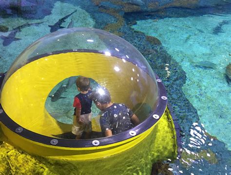 20+ Family Fun Things to do in Tulsa, Oklahoma - Family Travel Go LLC