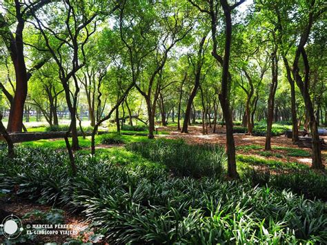 Visita Al Jard N Nico De Chapultepec En Ciudad De M Xico