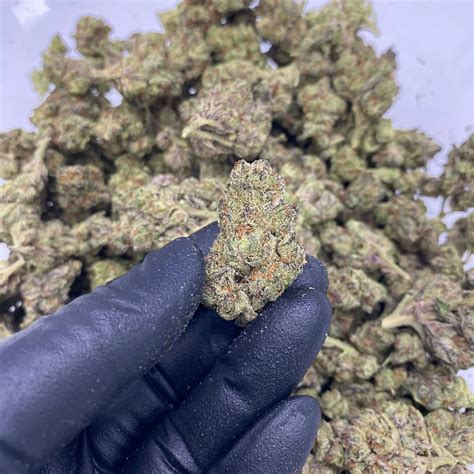 Cereal Milk - Exclusive Hemp Farms