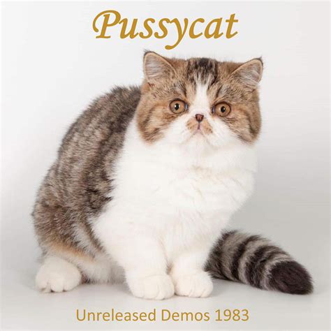 Pussycat Unreleased Demos 1983 Iheart