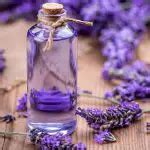 Óleo Essencial de Lavanda Como Fazer Mundo Ecologia