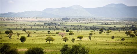 Safari In The Kidepo Valley [Best Uganda Safari Experience]