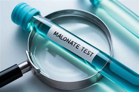 Malonate Test Principle Requirements Procedure