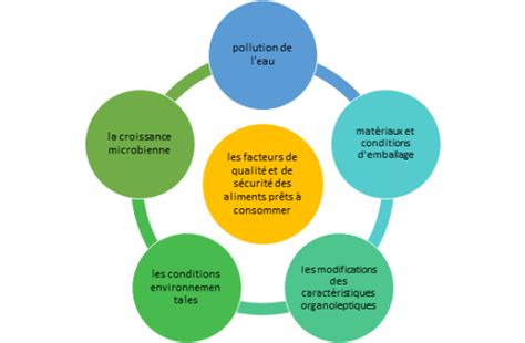 Aliments Prêts à Consommer La Qualité Et La Sécurité Alimentaire Sont Indissociables Christeyns