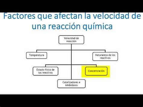 05 Factores que afectan la velocidad de una reacción química YouTube