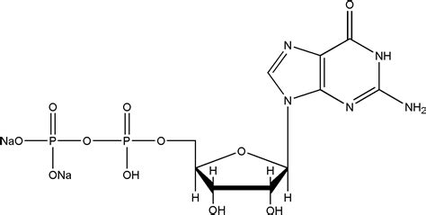 Guanosine 5 Diphosphate Disodium SaltGDP Na2 Hangzhou Meiya