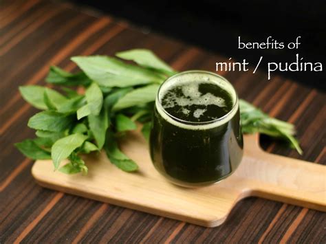 Top 6 Health Benefits Of Mint Leaf Diy Home Remedies With Pudina