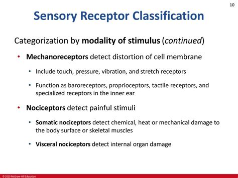 Senses Ppt Download