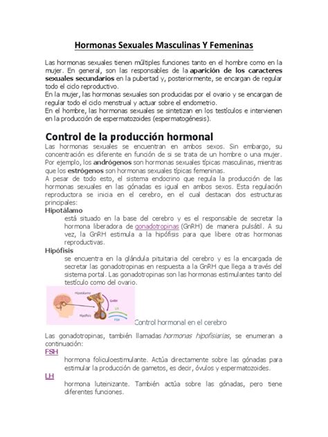 Hormonas Sexuales Masculinas Y Femeninas Pdf Ciclo Menstrual Hormona Luteinizante