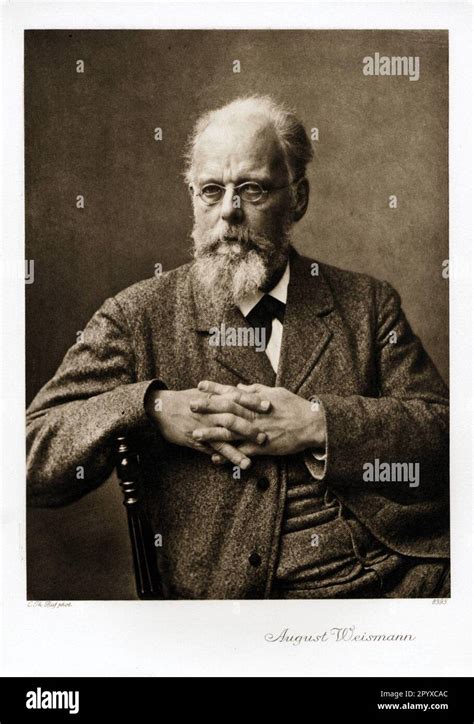 August Weismann (1834-1914), German zoologist. Photo: Heliogravure