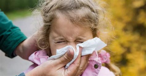 Flu Myths Vs Facts Dispelling Common Misconceptions About Influenza