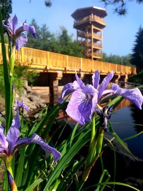 Parc Des Chutes De La Petite Rivi Re Bostonnais Tourisme La Tuque