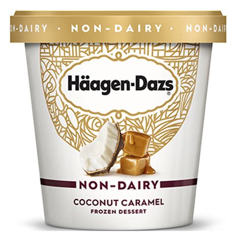 The 21 Best Non Dairy Vegan Ice Cream Brands