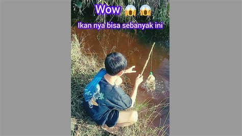 Hari Ini Kita Lihat Perangkap Ikan Wah Dapat Ikan Nya Banyak Guys