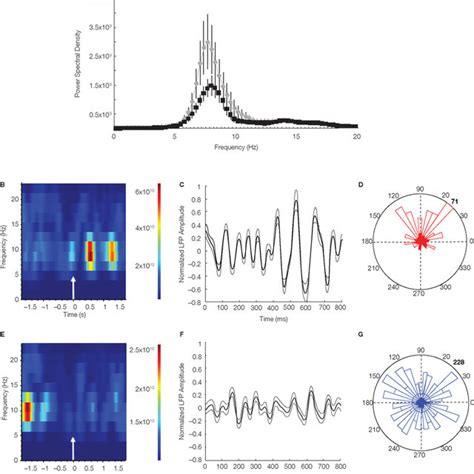 Hippocampal Theta Phase Reset After Error Responses A Power