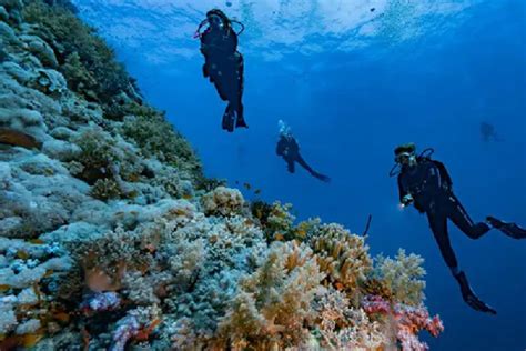 PADI Underwater Navigator In Marsa Alam Advenius