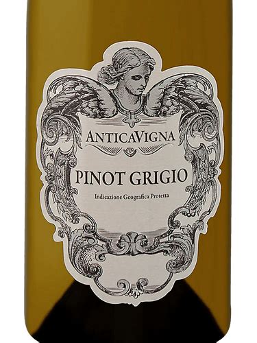 Antica Vigna Pinot Grigio Vivino