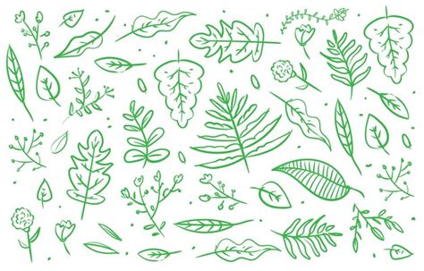 Premium Vector Hand Drawn Collection Of Leaves In Doodle Style