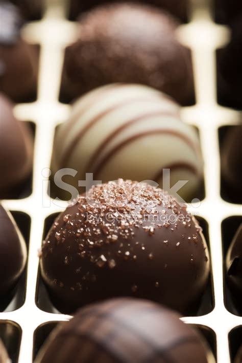 Luxury Chocolate Stock Photo Royalty Free Freeimages