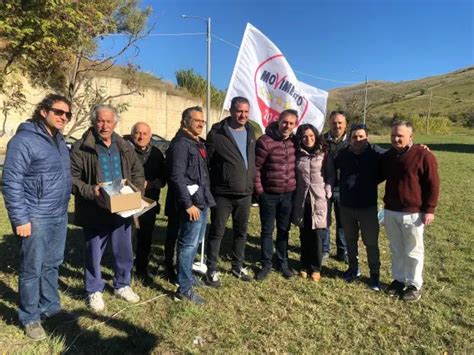 Alberi Per Il Futuro Nel Quartiere Aranceto Di Catanzaro L