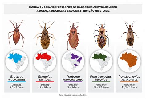 Doença de Chagas – SESPA