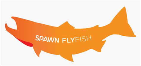 spawn fly fish logo hd png  kindpng