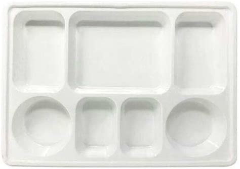 Amazon.com: styrofoam divided plates